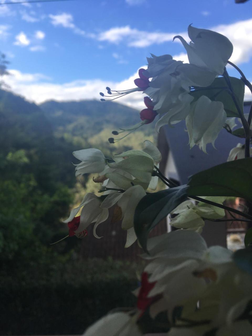 Villa Casa Sossego Da Montanha Visconde de Mauá Exterior foto